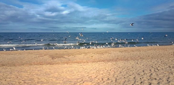 Ahlbeck-Strand