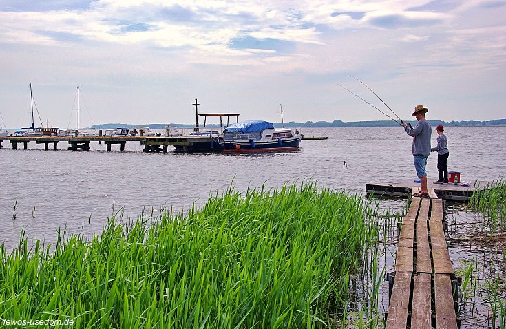 Ferienwohnung Usedom in Ziemitz am Achterwasser