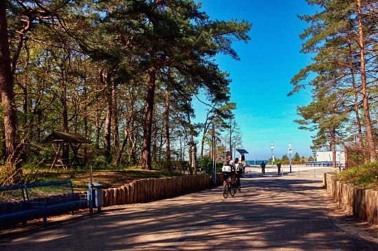 zempin-usedom-wald