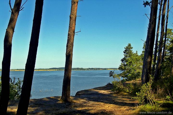 Steilküste auf dem Gnitz bei Zinnowitz