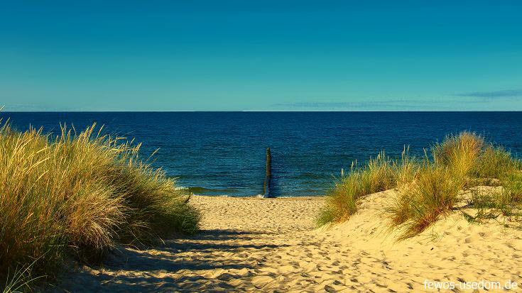 Von der Ferienwohnung direkt zum Strand an der Ostsee