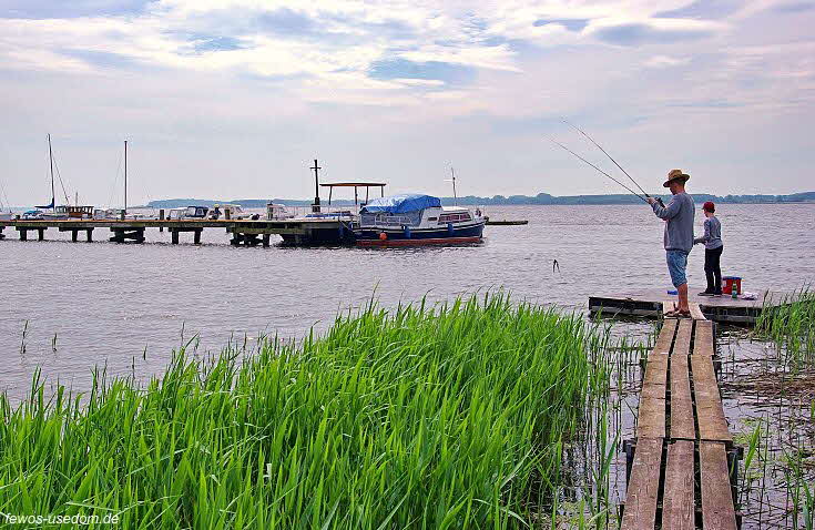 achterwasser-usedom-angeln