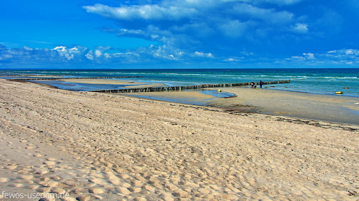 der schöne Ostseestrand auf der Insel Usedom