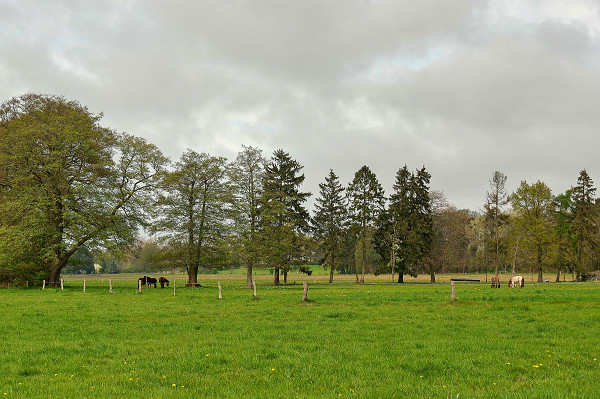 fewo-goerke-umgebung2