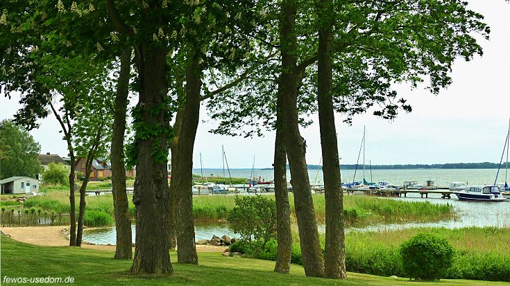 Parkanlage der Ferienanlage Carmen auf Usedom