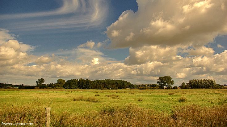 Wiesen und Wälder um Ziemitz auf Usedom
